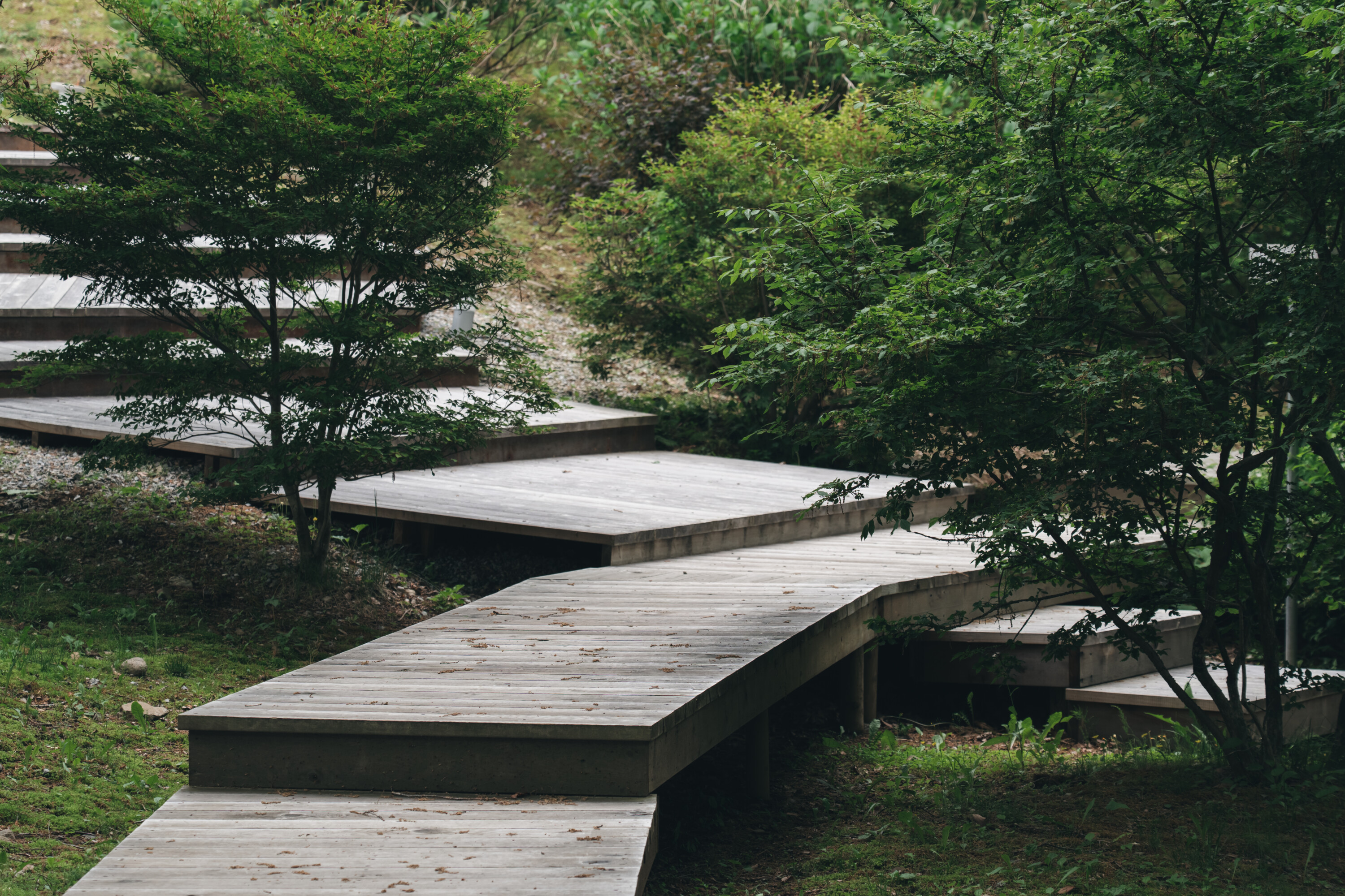 Boardwalk adjacent to the museum and surrounding natural landscape